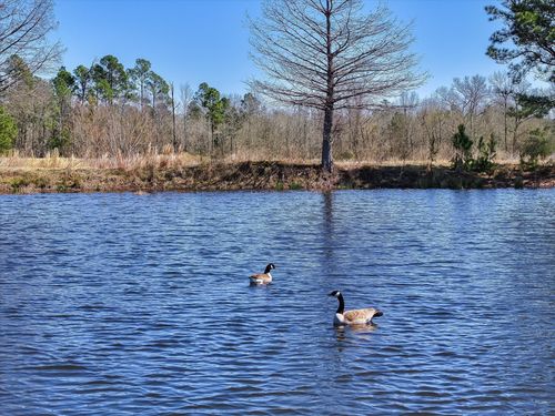 000 State Highway 64, Ben Wheeler, TX, 75754 | Card Image
