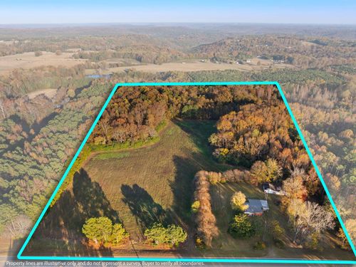 2986 Eva Rd, Falkville, AL, 35622-8315 | Card Image