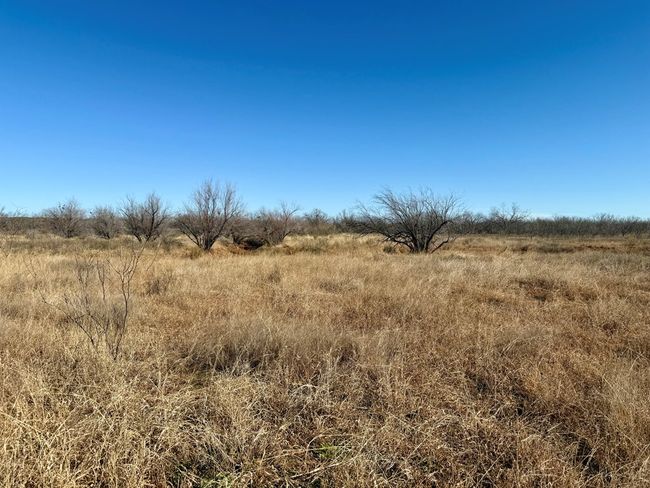 00 W Hwy 158, Home with 0 bedrooms, 0 bathrooms and null parking in Bronte TX | Image 11