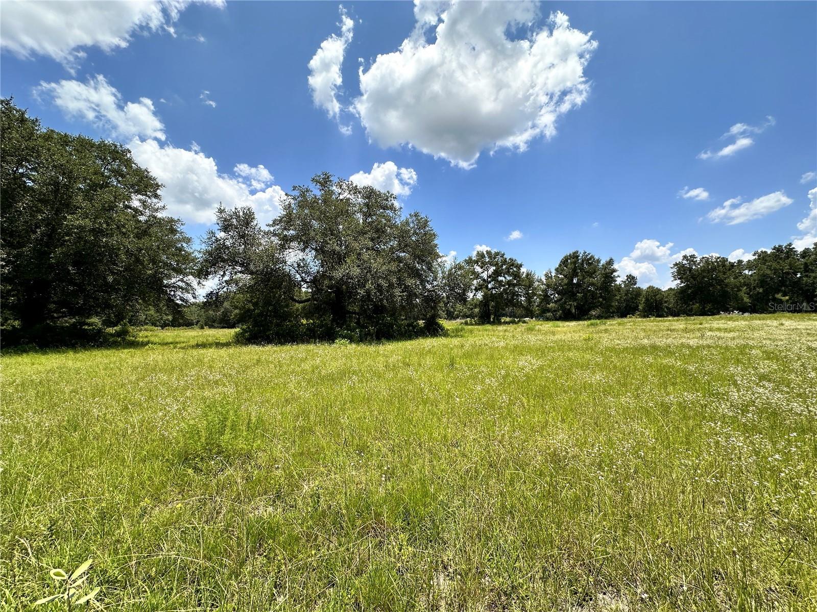 Residential in FORT WHITE 5