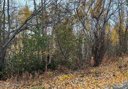 4916 S Horseshoe Lake Rd, Big Lake, AK, 99623 | Card Image