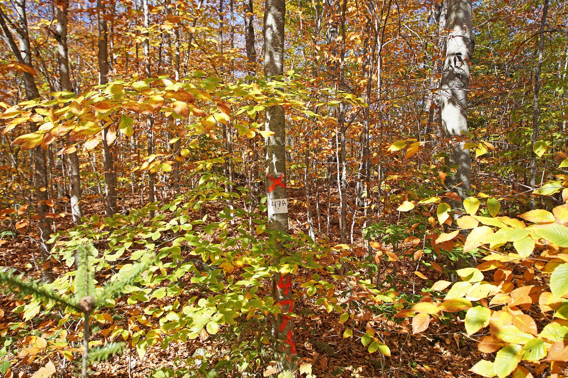 Land in Wentworth 4