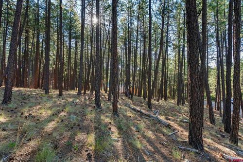465 Deer Ridge Dr, Bayfield, CO, 81122-9452 | Card Image