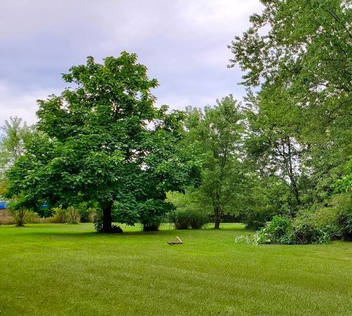8186 Perry Highway, Erie, PA, 16509 | Card Image