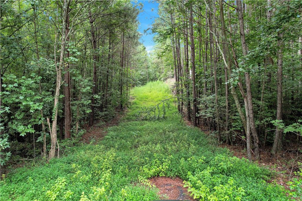 Land in Douglasville