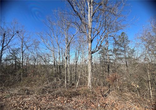 0 Dream View Terr, McCalla, AL, 35111 | Card Image