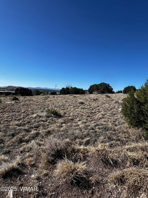 58 Short Ln, Concho, AZ, 85924 | Card Image