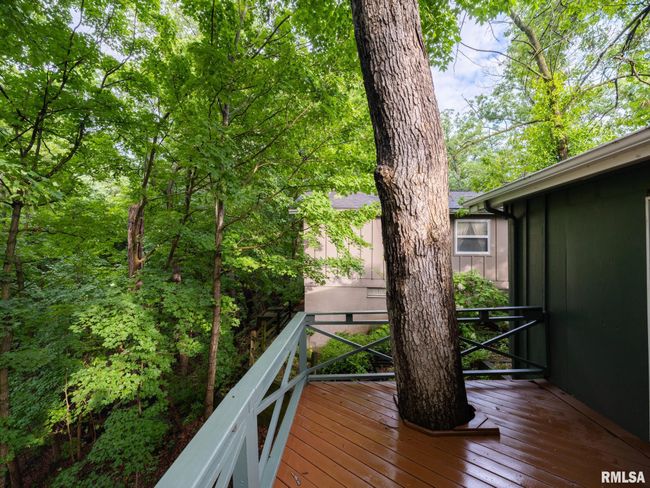 743 W Wonderview Dr, House other with 3 bedrooms, 2 bathrooms and null parking in Dunlap IL | Image 50