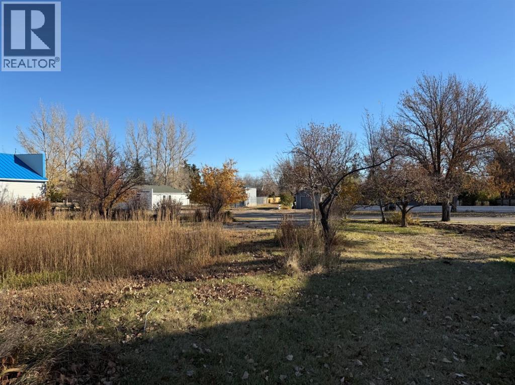 Land in Carmangay 5