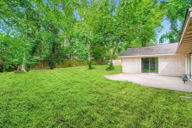 Backyard | Image 19