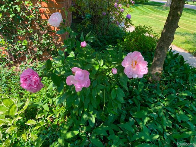 1010 Rock Spring Rd, House other with 4 bedrooms, 3 bathrooms and null parking in Bloomfield Hills MI | Image 43