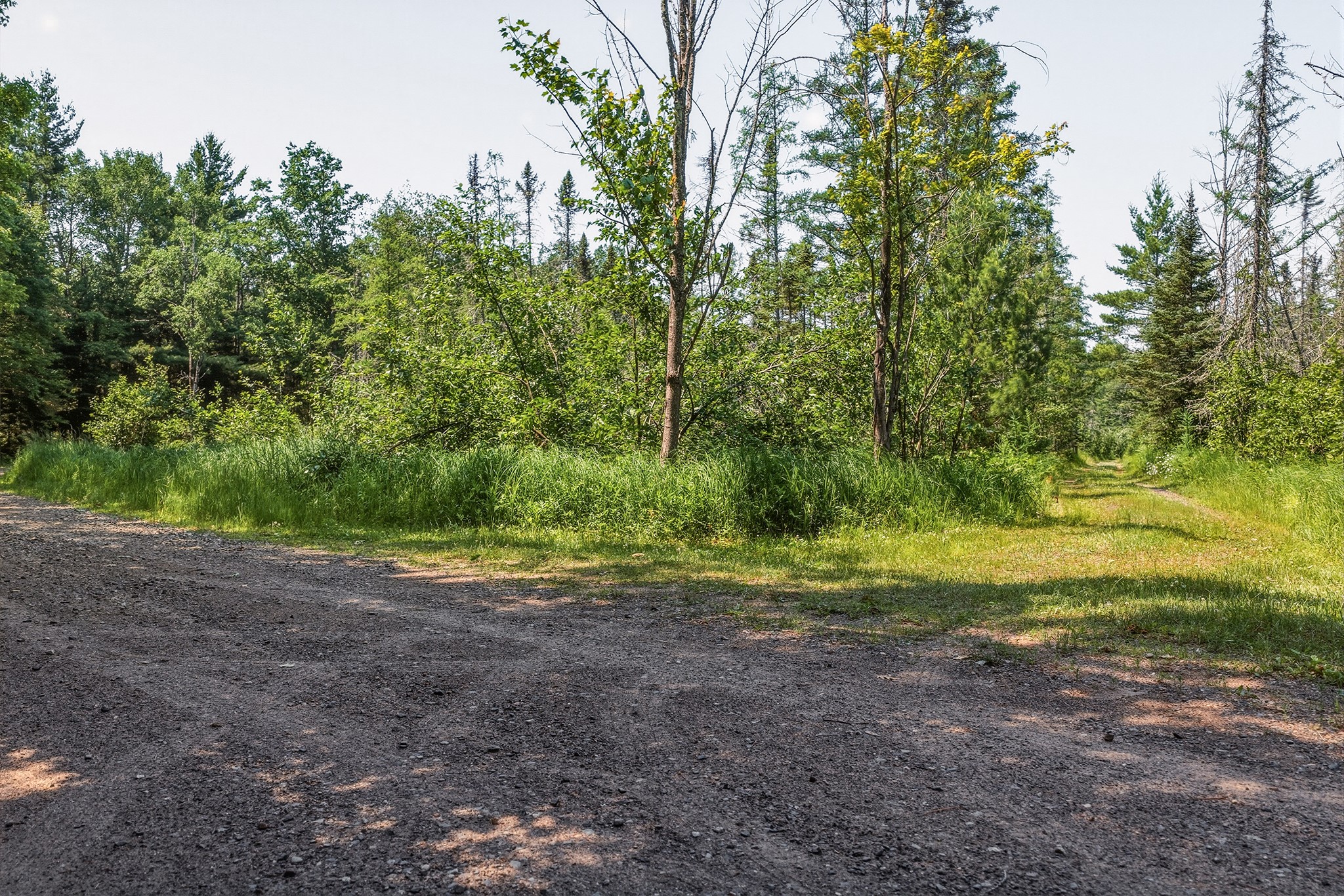 Land in Hayward 3