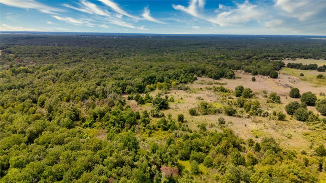 Bird's eye view | Image 11