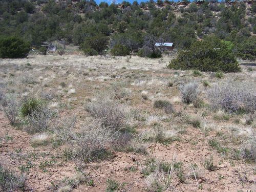 31 Candido Rd, Tijeras, NM, 87059-7473 | Card Image