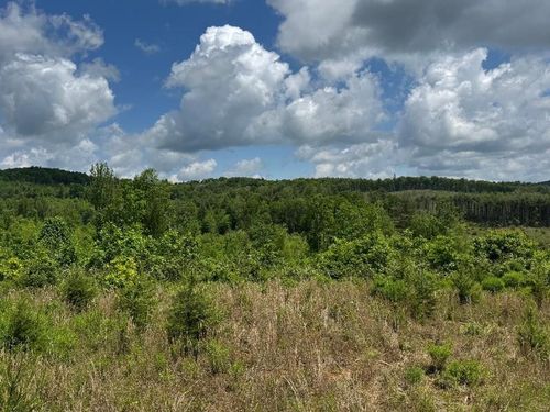 TBD Marian Rd, Dugspur, VA, 24325 | Card Image