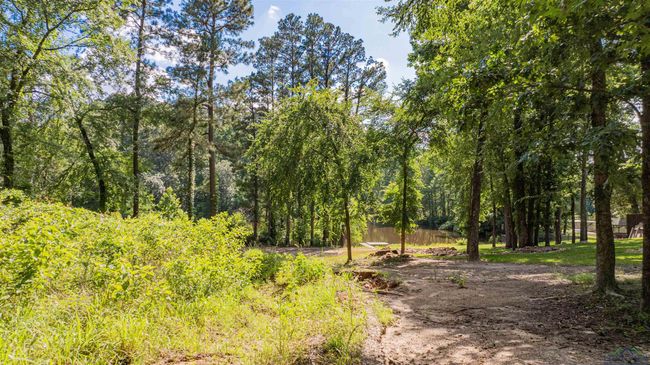 3 Bridle Path, Home with 0 bedrooms, 0 bathrooms and null parking in Longview TX | Image 11
