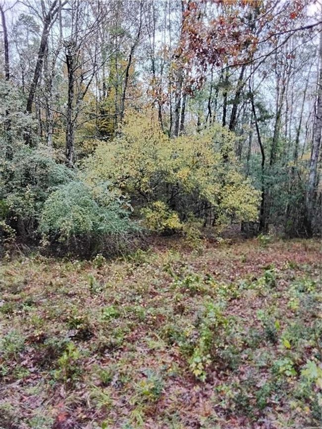 59735 Monroe Creek Rd, House other with 3 bedrooms, 2 bathrooms and null parking in Angie LA | Image 28