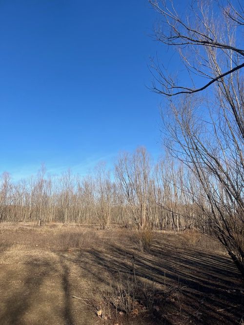 0 E Greene County Ar 840 Rd, Paragould, AR, 72450 | Card Image