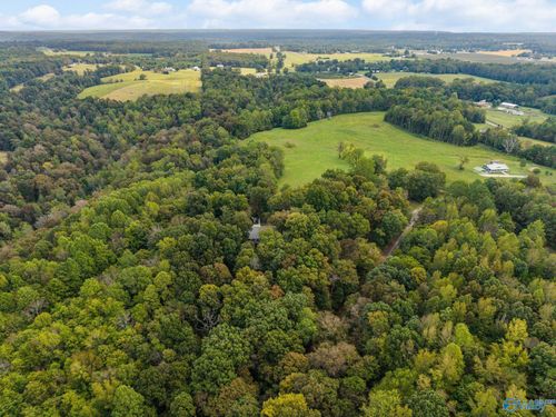 13.2 Acres Aunt Ann Hill Rd, Lester, AL, 35647 | Card Image