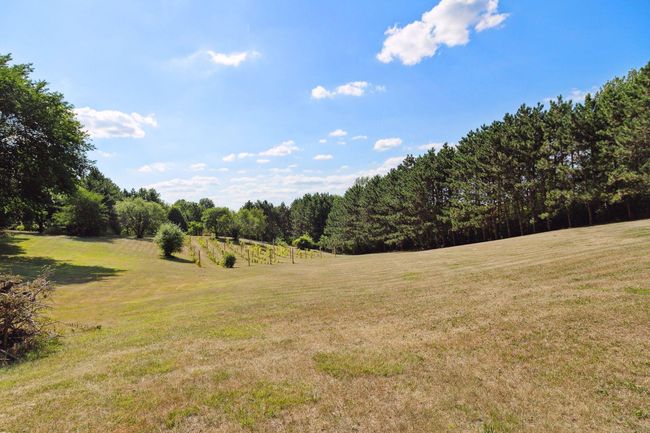 11145 Albavar Path, House other with 4 bedrooms, 4 bathrooms and null parking in Inver Grove Heights MN | Image 33