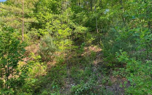 LOT 4A Trillium Heights Ct, Hayesville, NC, 28904 | Card Image