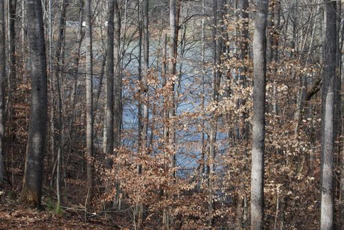 Lot 10 Lake Knoll Rd, Union Hall, VA, 24176 | Card Image