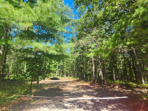 0 E Lincoln Street, Baldwin Township, MI, 48763 | Card Image