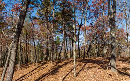 LOT 40 Preserve Trail, Ellijay, GA, 30536 | Card Image