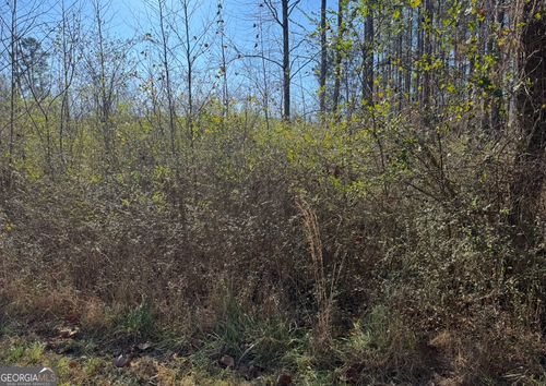 0 Norton Rd, Kingston, GA, 30145 | Card Image