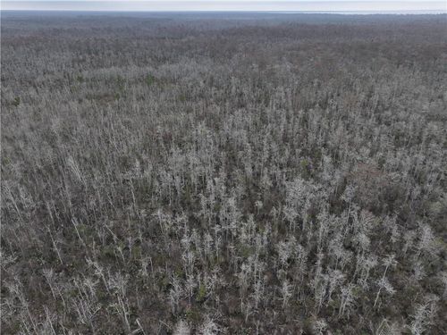 0 Lower Rome Rd, Springfield, LA, 70462 | Card Image