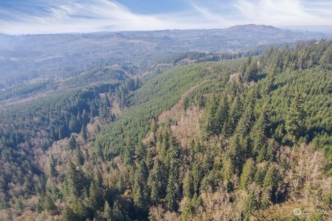 0 Ne Cedar Mist Rd, Home with 0 bedrooms, 0 bathrooms and null parking in AMBOY WA | Image 12