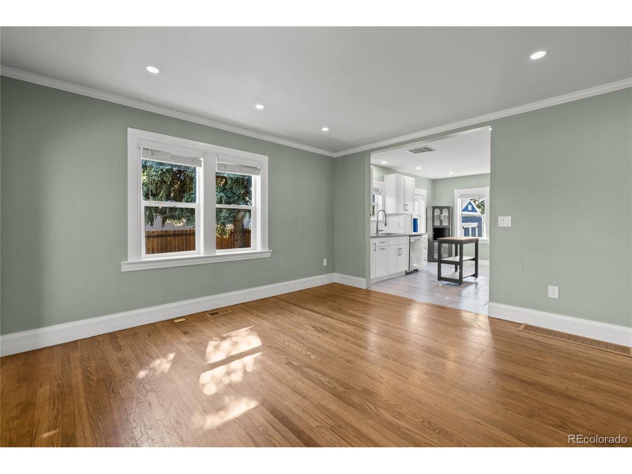 Residential in Denver 3