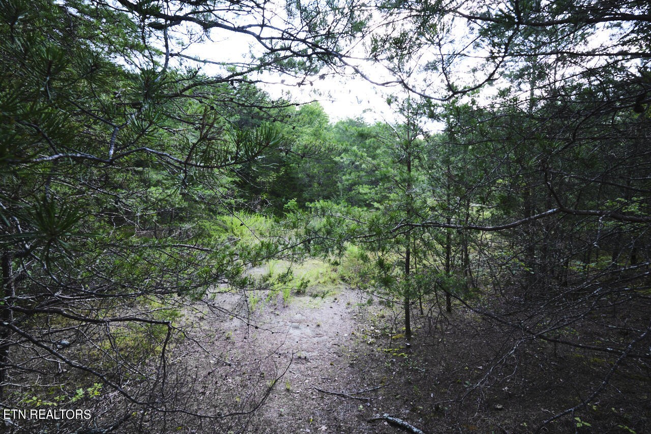 Land in Blaine