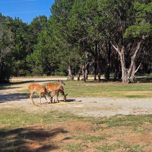 1940 Roadrunner Rd, Graford, TX, 76449-4352 | Card Image