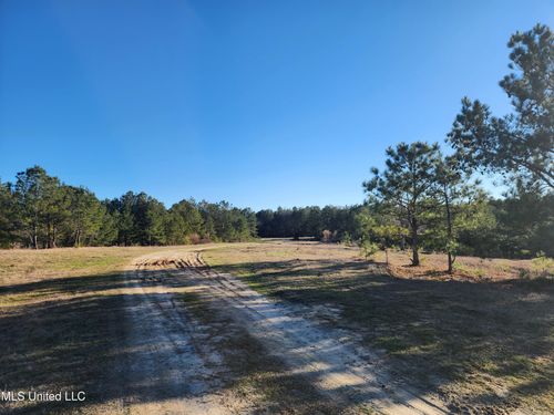 0 Lebanon Pine Grove Rd, Terry, MS, 39170 | Card Image
