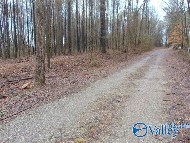 7 acres Carters Gin Rd, Home with 0 bedrooms, 0 bathrooms and null parking in Toney AL | Image 10