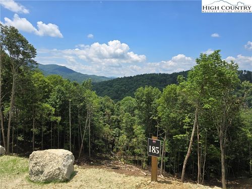 Lot 185 Raspberry Ln, Elk Park, NC, 28622 | Card Image