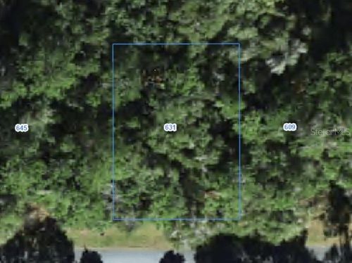 631 W Grapewood Ln, CITRUS SPRINGS, FL, 34434-4205 | Card Image