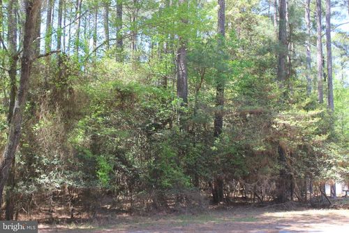 489 Dry Dock Ct, GREENBACKVILLE, VA, 23356 | Card Image