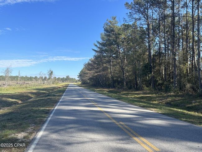 2332-AC - Tract#6201 W Co Hwy 181 Nat B 01, Home with 0 bedrooms, 0 bathrooms and null parking in Defuniak Springs FL | Image 4