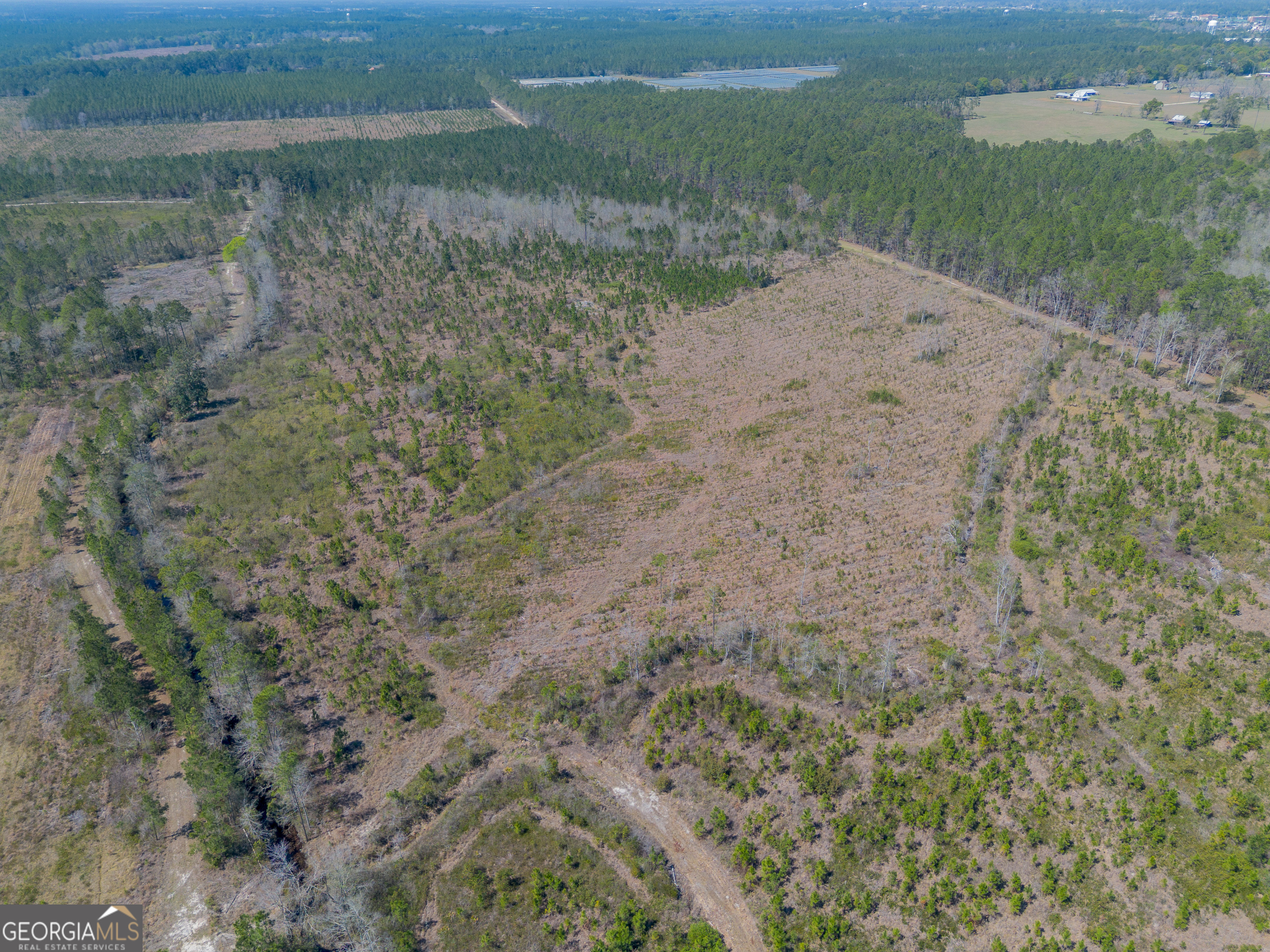 Land in Waycross