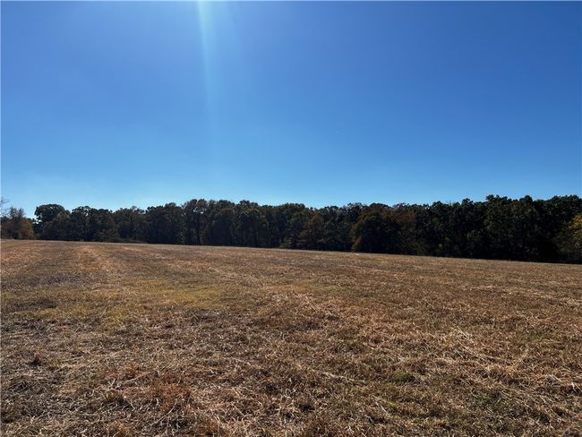 8 N Mt Olive Road, Home with 0 bedrooms, 0 bathrooms and null parking in Gravette AR | Image 7
