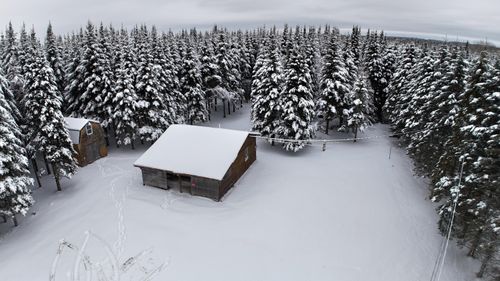 929 Access Highway, Limestone, ME, 04750 | Card Image