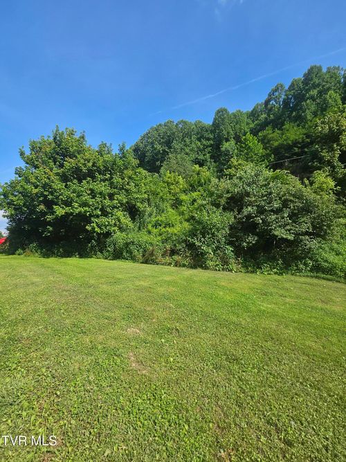 30242 N Fork River Rd, Saltville, VA, 24370-4218 | Card Image