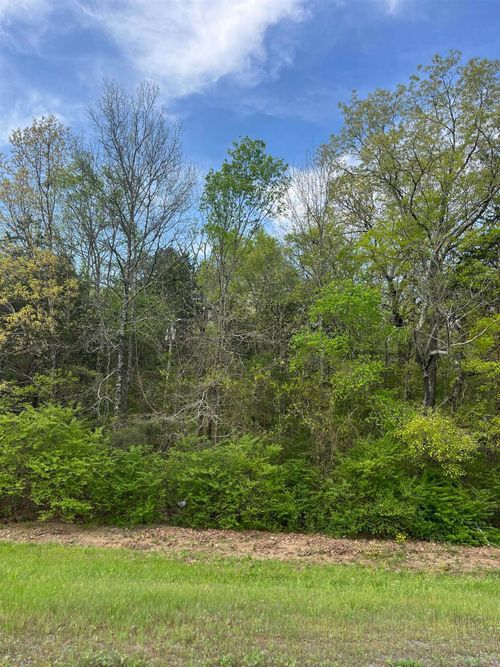 Lot #4 Lynch Rd., Clinton, AR, 72031 | Card Image