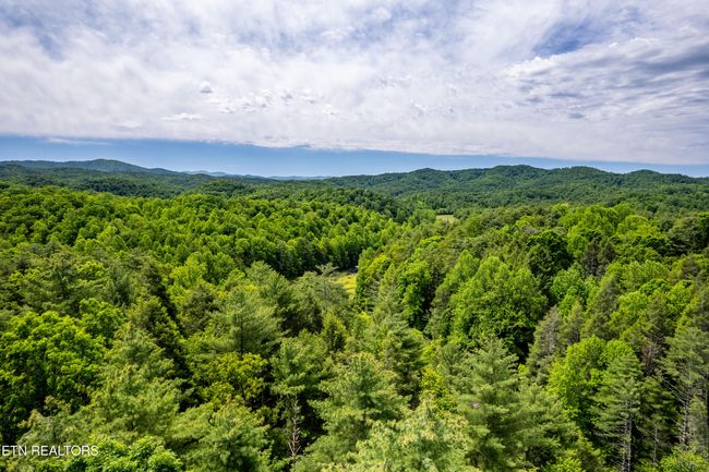 000 Cane Creek Mountain Rd, Home with 0 bedrooms, 0 bathrooms and null parking in Tellico Plains TN | Image 20