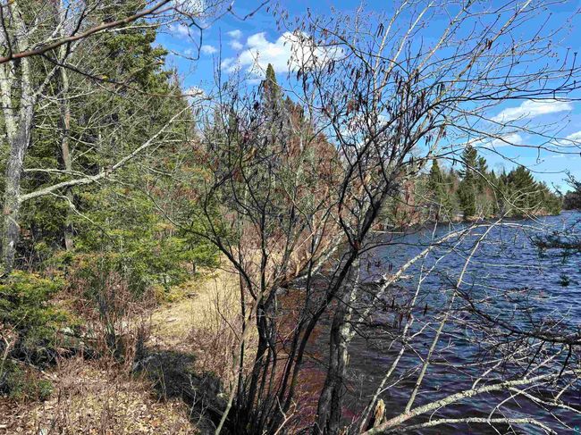 Unit 5 Fernberg Rd, Home with 0 bedrooms, 0 bathrooms and null parking in Ely MN | Image 4