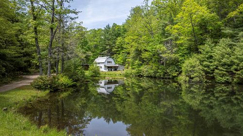 TBD Blue Springs Rd, Elk Creek, VA, 24326 | Card Image