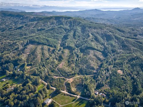 0 Tract 2B S Valley Rd, Naselle, WA, 98638-8500 | Card Image