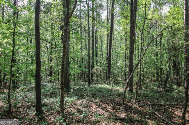 1040 Bridlegate Dr, Home with 0 bedrooms, 0 bathrooms and null parking in Watkinsville GA | Image 7